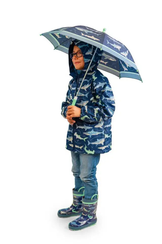 Stephen Joseph Şemsiye Köpek Balığı